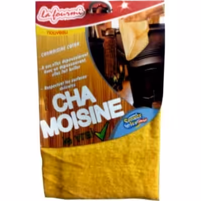 La fourmi cha moisine